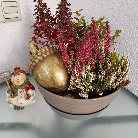 Appartement Ferienwohnung-eisenach-siri *